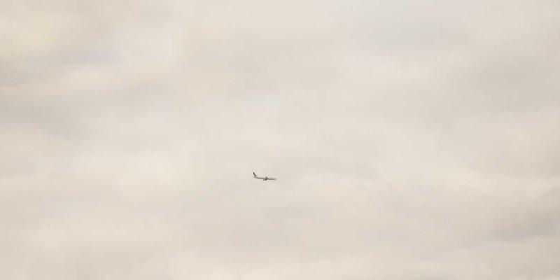 夜色魅影:从《银翼杀手》霓虹到莫奈《睡莲》的红色浪漫与夜间色彩心理学