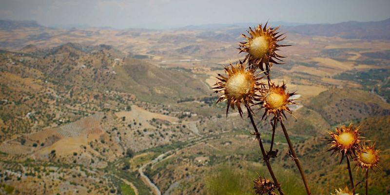 赛博朋克与古典浪漫的碰撞：在家庭天文台开启一场穿越时空的观星艺术体验