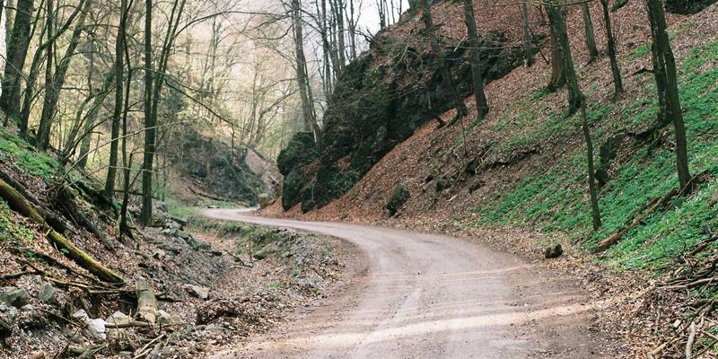 赛博朋克与法式浪漫交织的神奇之夜:都市光污染下的终极观星指南